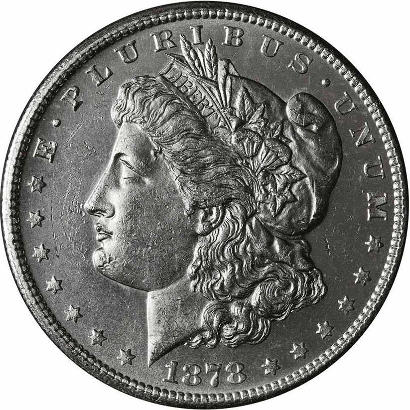 1878 Morgan Silver Dollar Cull